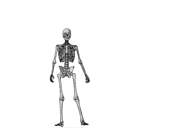 3d02168c_1.gif