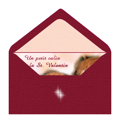 citations d amour pour la saint valentin joyeuse fÃªte