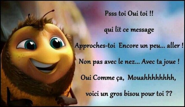 Afficher l'image d'origine