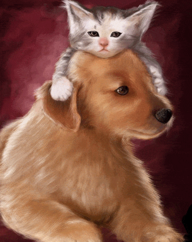 belle image animée ,chat et chien 