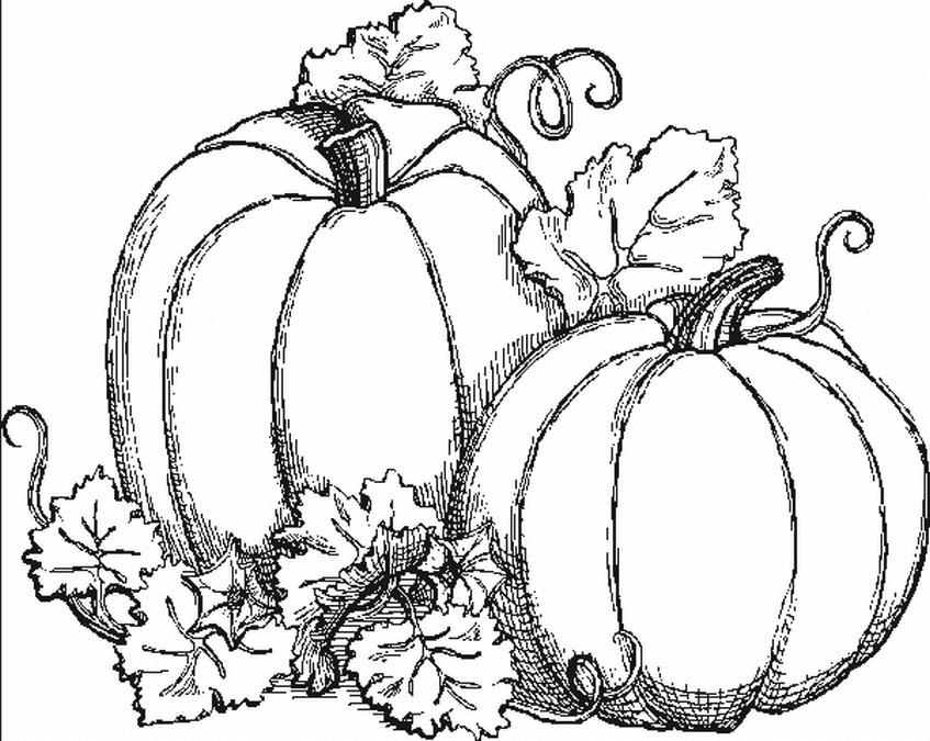 wart pumpkin coloring pages - photo #4
