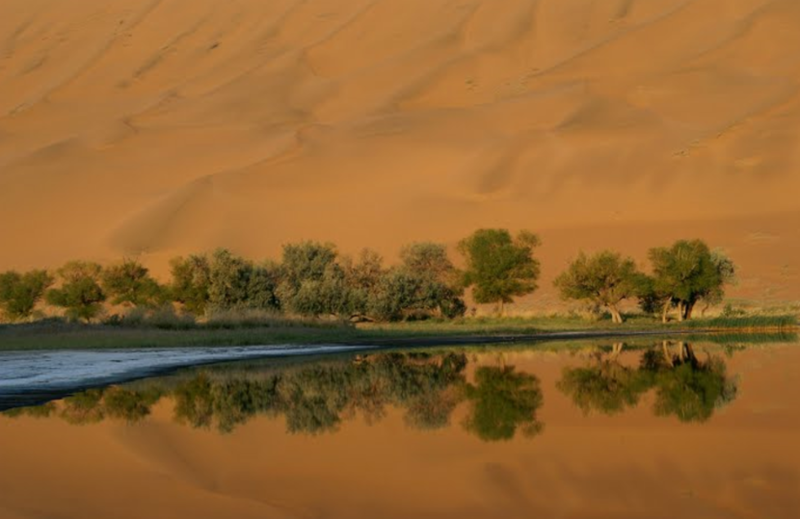 Capturenature_28.png