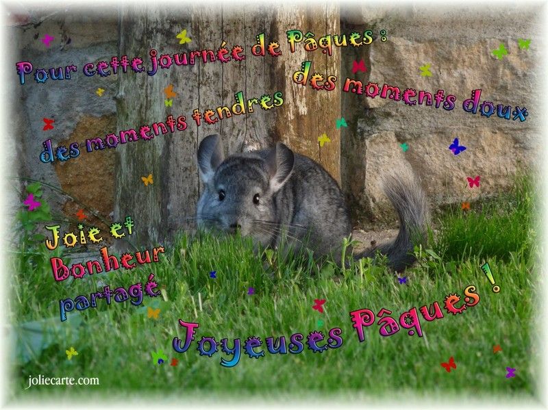 Joie-bonheur-paques.jpg