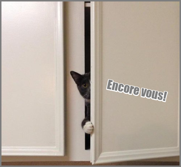 Encore vous !!!! (image humour chat à la porte)
