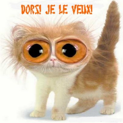 Bruxelles,pêle mêle... états d'âme