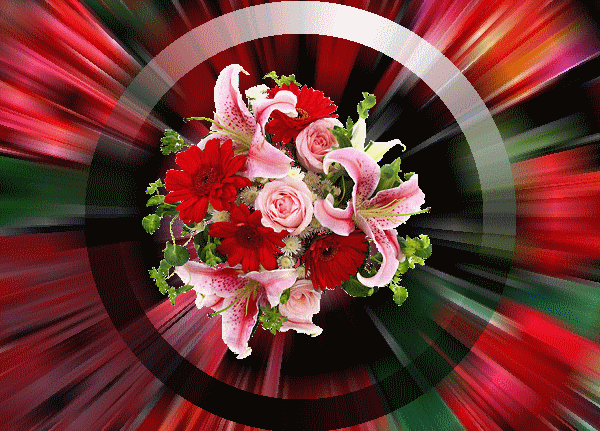 bouquet,de,fleurs,dans,fonds,de,roses,cercle,