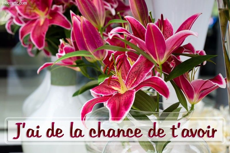 Contente de t'avoir rencontrer