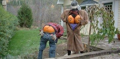 concours photo halloween Chiens FORUM Animaux