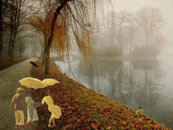 image001pluianima.gif