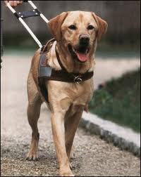 calendrier de l avent pps