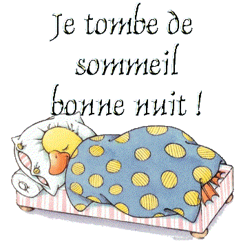 Preum's du jour - Page 6 Je_tombe_de_sommeil_bonne_nuit_canard_lit_00_big