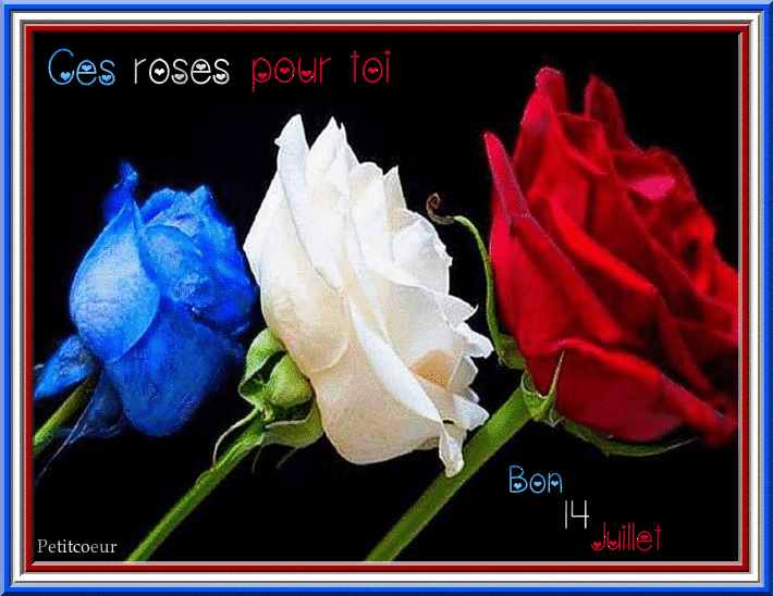 http://ageheureux.a.g.pic.centerblog.net/kJpN3CXeGTza.gif