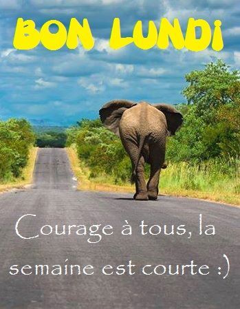 gif: zut le week end est fini, bon lundi (texte)