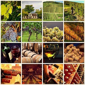 wine-1597376__340.jpg